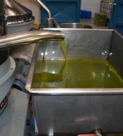 Sklavenitis Bio Olive Oil Factory