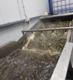 Sklavenitis Bio Olive Oil Factory