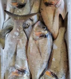 Fish Market O Skoufos